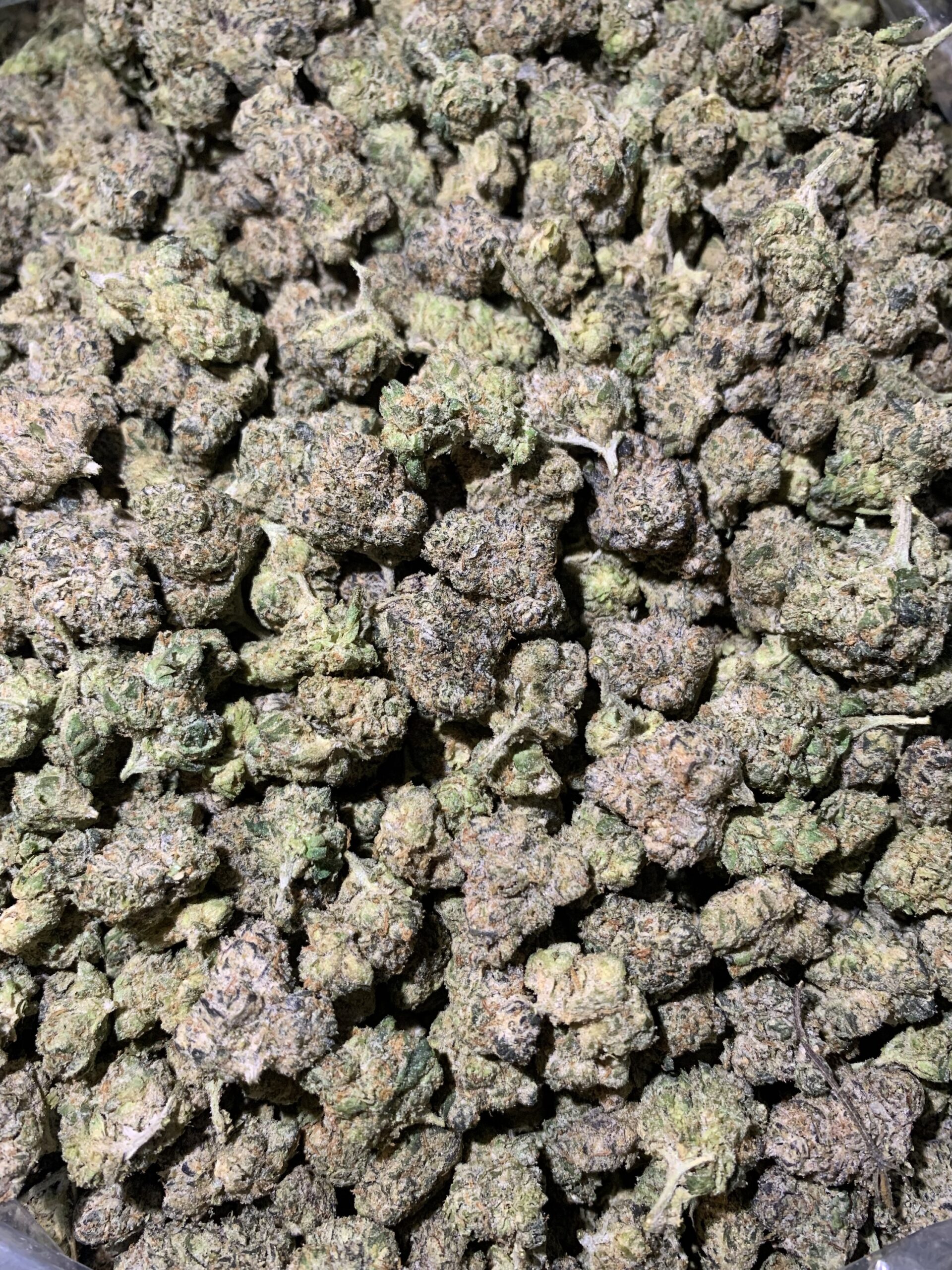 WHITE RUNTZ (MINIS) - Imperial NYC 1 WHITE RUNTZ (MINIS)