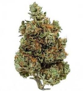 SKUNK