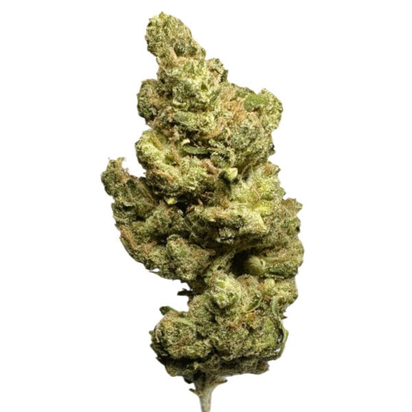 SOUR DIESEL
