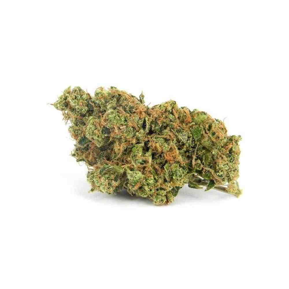 Cannabis Terpene Trends: What’s Popular Now