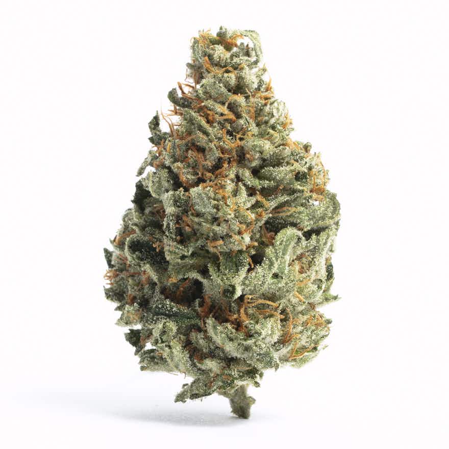 Crème Brûlée Strain Review: Flavor, Effects & Medical Benefits