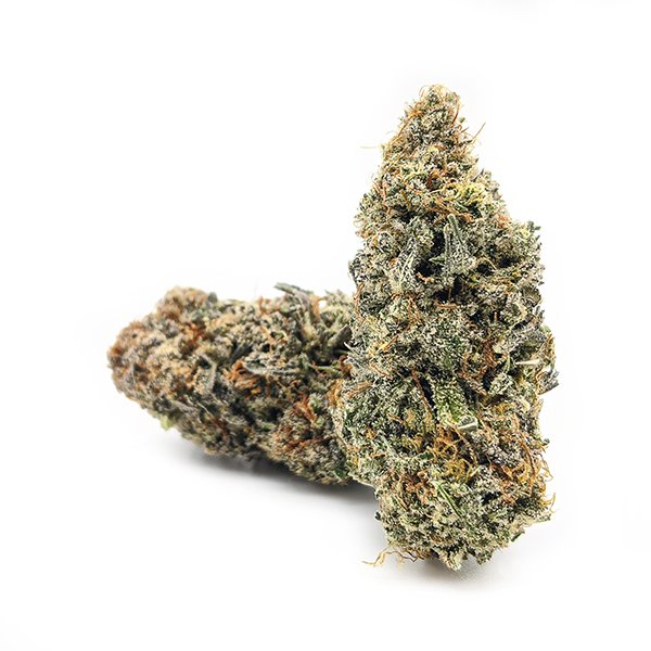 Icebreaker cannabis strain