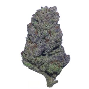 GK