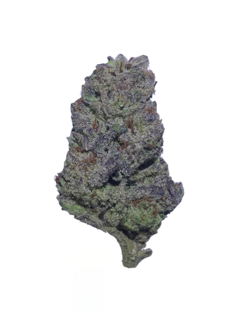 GK