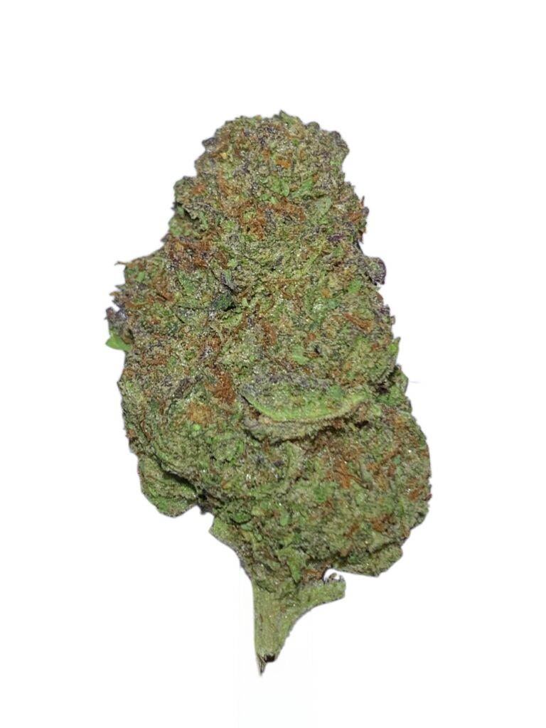 CANDY P