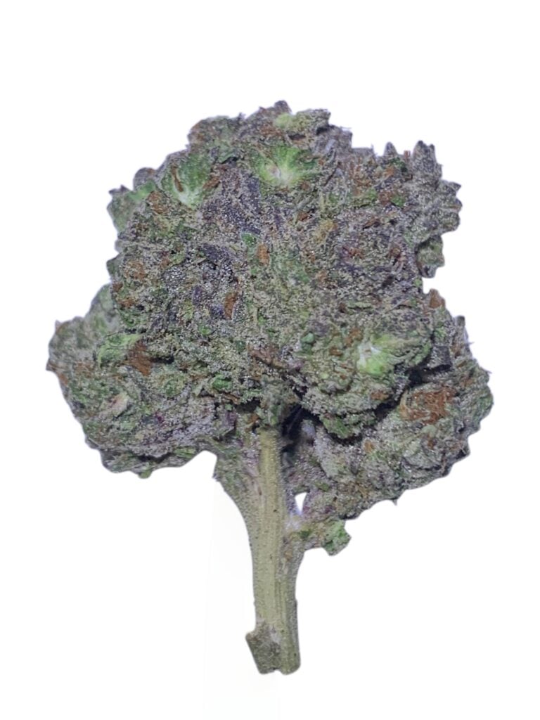SUNSET SHERBET