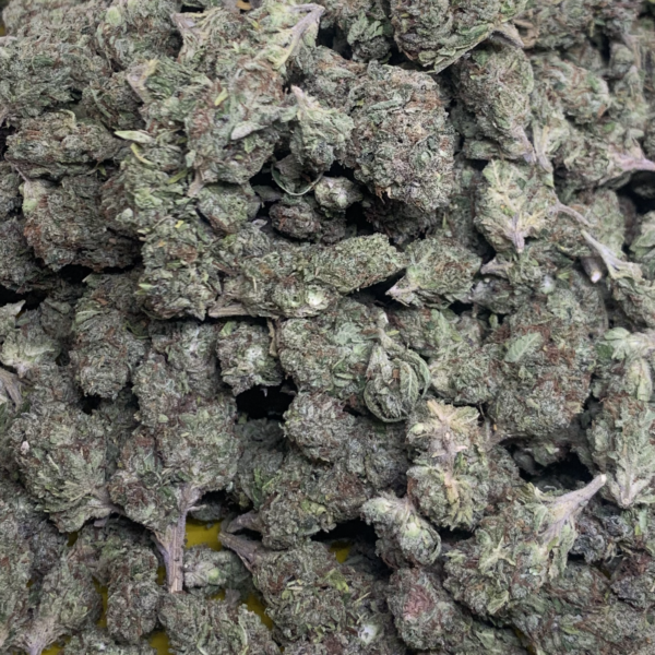 Home - Imperial NYC 7 super lemon cherry