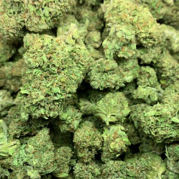 Home - Imperial NYC 65 CHEM DAWG - Imperial NYC